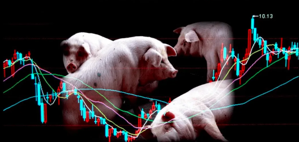 2024年猪价有较强看涨预期？