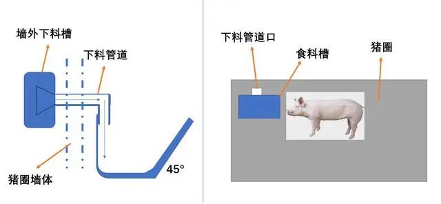 母猪料槽设计