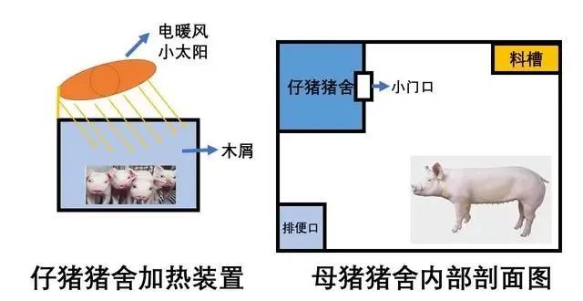 猪仔舍设计