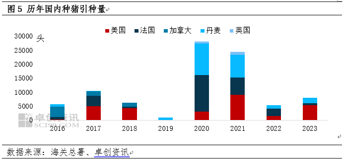 种猪引种量