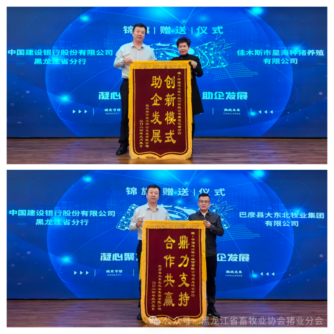黑龙江省举办生猪产业银企对接会