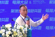 批次化生产过程中，烯丙孕素溶液的使用还存在哪些痛点？