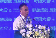 简式定时输精VS精准定时输精，两者效果差异在哪？
