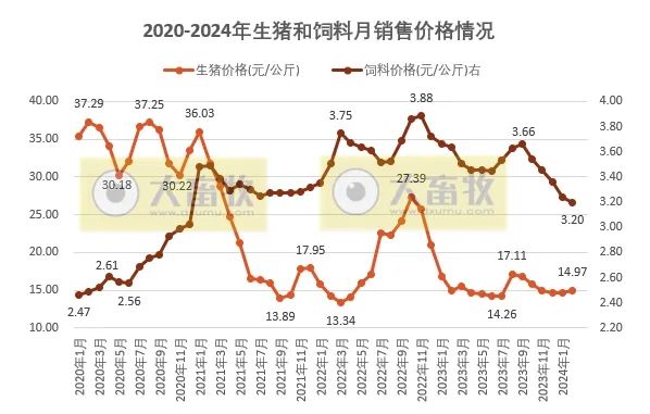 2024年2月全国猪粮比和生猪养殖盈亏情况如何？