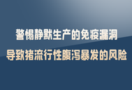 防控非瘟时，警惕静默生产的免疫漏洞导致猪流行性腹泻暴发的风险