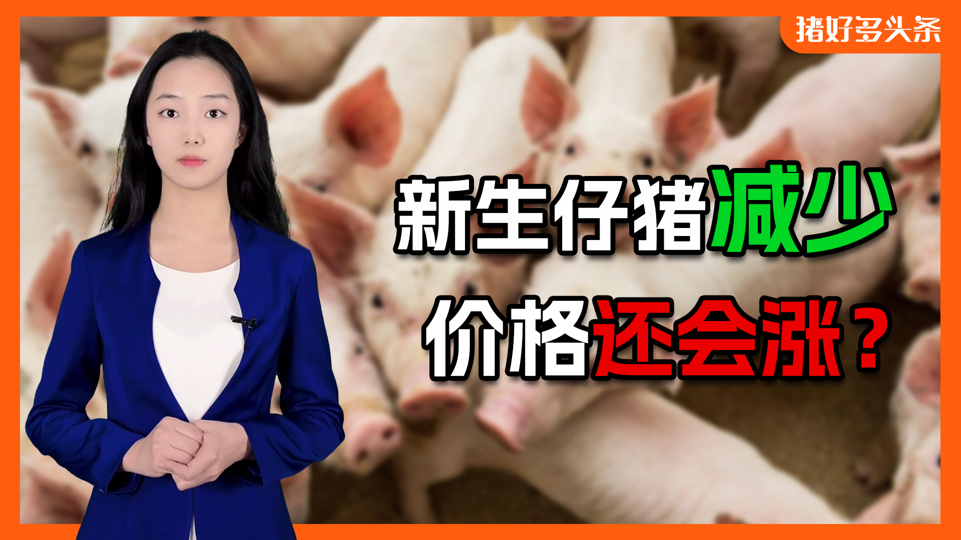 仔猪连涨8周，价格冲上600元？机构：2月新生仔猪继续减少！