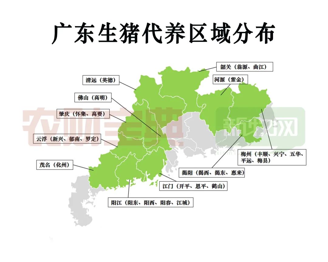广东生猪代养区域分布