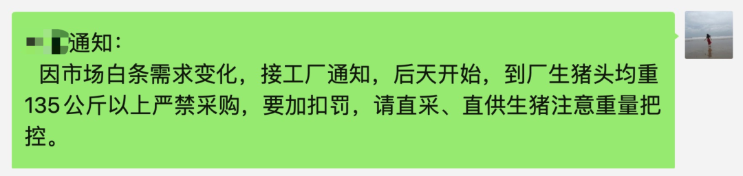 情绪来了！毛猪、仔猪、母猪和期货通通在涨！为何市场这么疯狂？