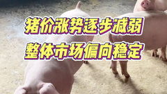 3月22日生猪价格：整体趋稳，集团猪企有增量出栏情绪，市场或有一定回调的风险！
