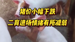 3月24日生猪价格：猪价再次承压，价格重心小幅下调，行情走势如何？