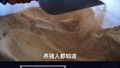 猪“别墅”纪录片--你相信10秒钟可以喂上万头猪吗？