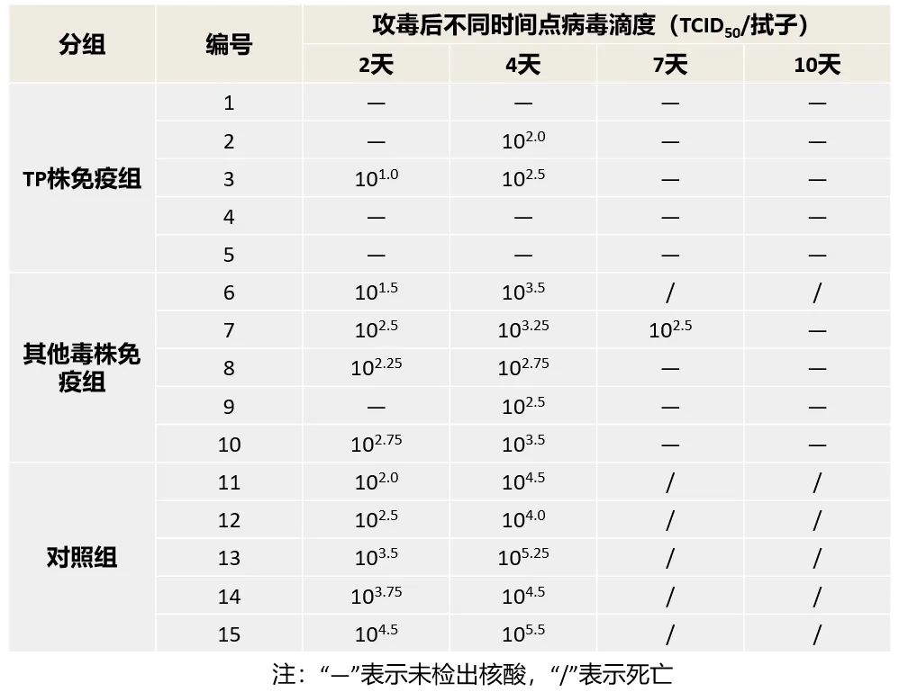 免疫攻毒后不同时间点排毒情况数据