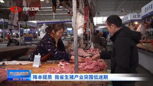 面对超长猪周期，四川生猪产业突围低迷期