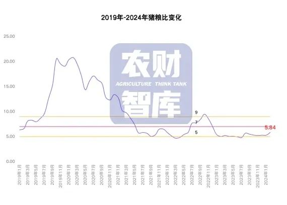 国家发改委：猪价有望震荡走高！1-2月猪肉进口同比减少56%！猪价利好来了？