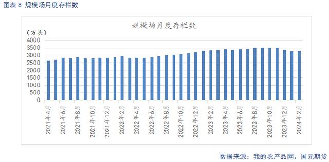 规模猪场月度存栏数