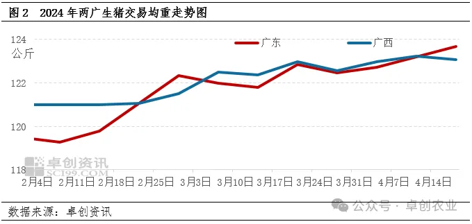 广东生猪交易均重走势图