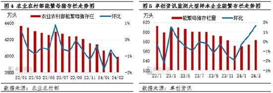 母猪存栏