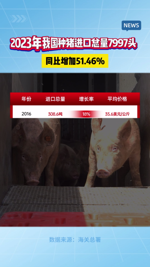 2023年我国种猪进口总量7997头，同比增加51.46%！	