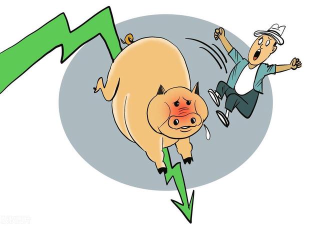 猪价跌势反扑，生猪市场或将再次陷入“磨底”的走势？