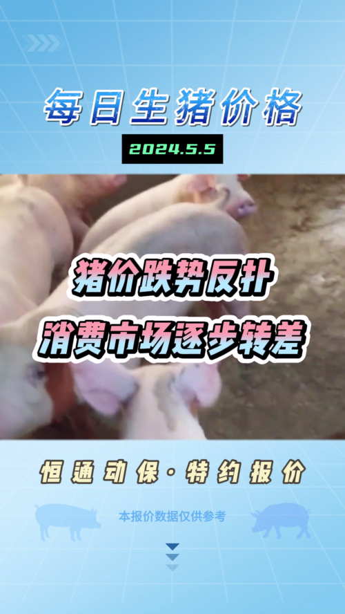 5月5日生猪价格：假期尾声，猪价面临“磨底”的走势，有惯性下跌的风险？