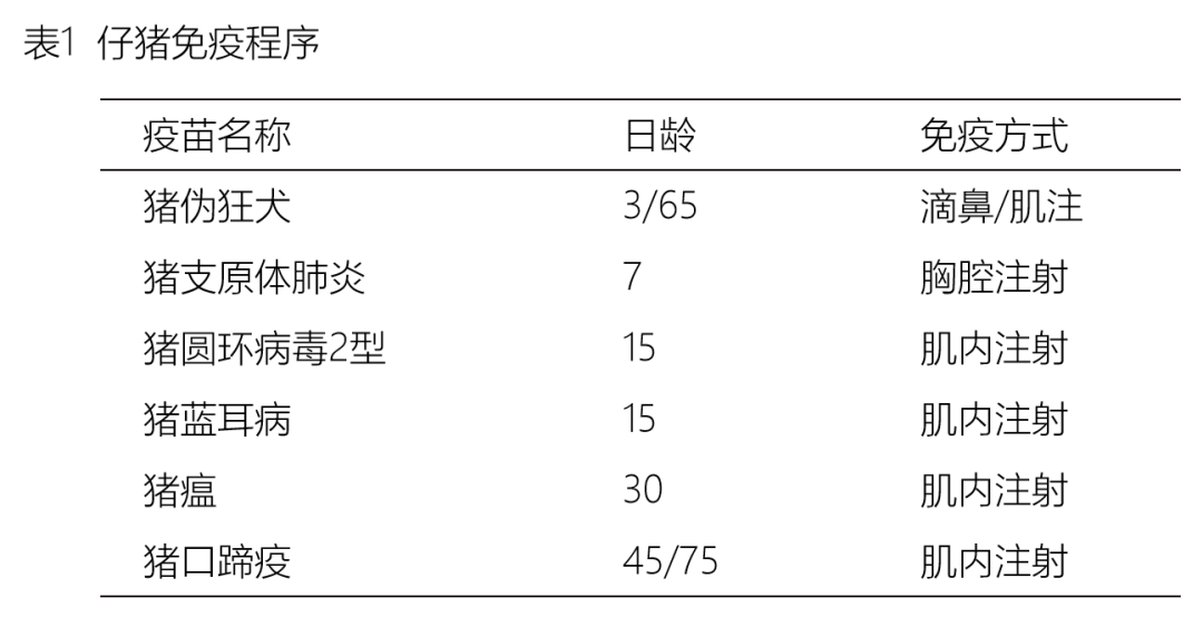 种猪免疫程序