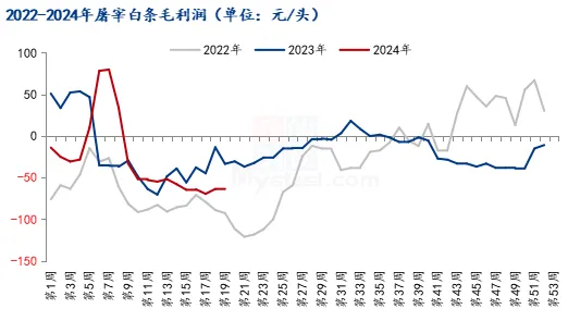 2022-2024年屠宰白条毛利润