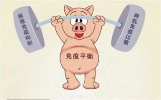 免疫平衡