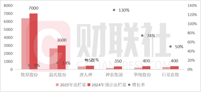 出栏增长猪企