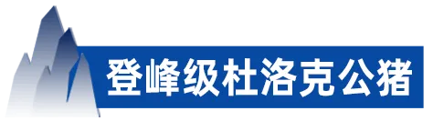 登峰级杜洛克公猪