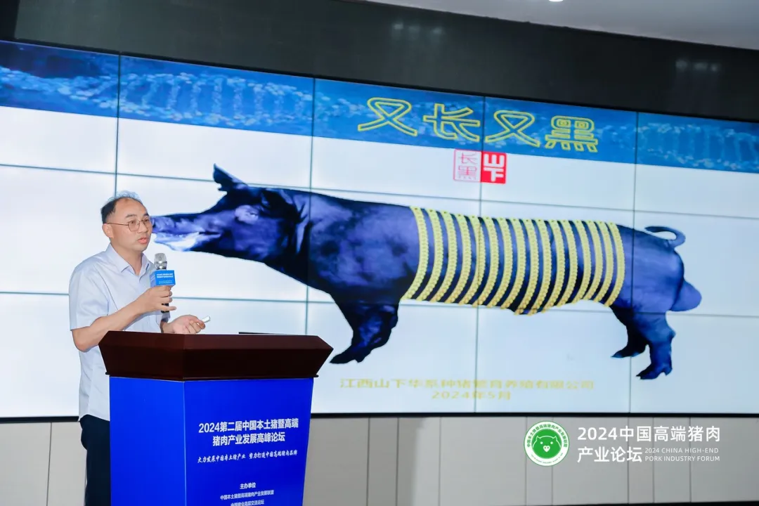 姚文武