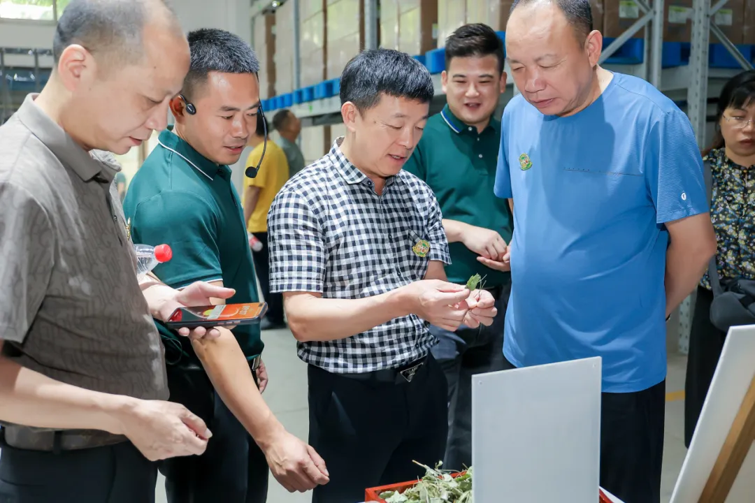 参观中成·中药
