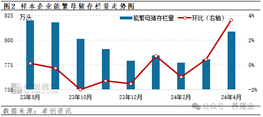 二育带动猪价反弹，也在蓄积供应压力！猪价涨势还会持续？