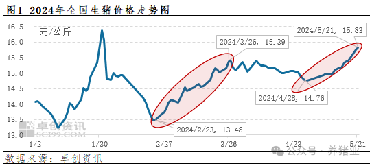 二育带动猪价反弹，也在蓄积供应压力！猪价涨势还会持续？