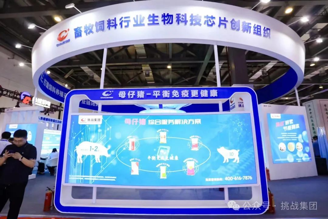 挑战集团