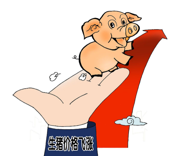  5月23日猪价持续“插翅腾飞”！南北齐飘红，猪价还将继续冲高？