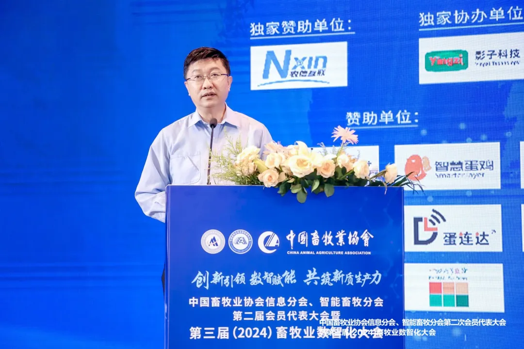 王晓冰
