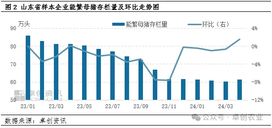 山东能繁母猪存栏量走势