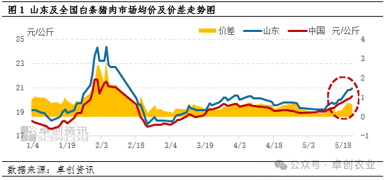 山东猪肉价格走势