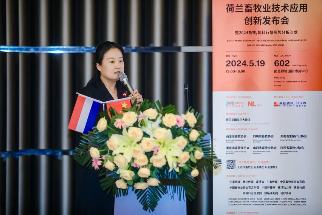 王汝文