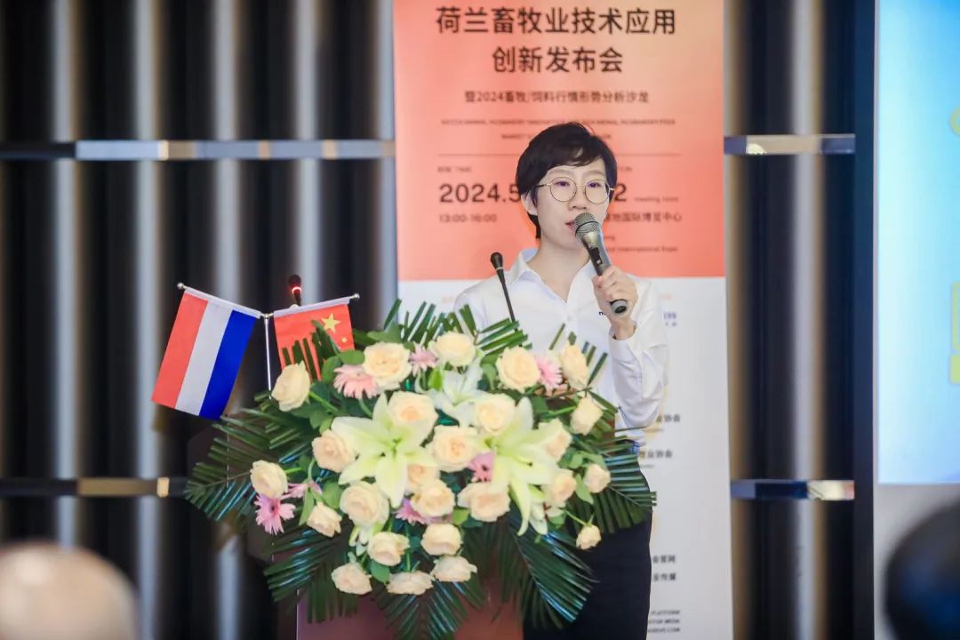 赵婉婷
