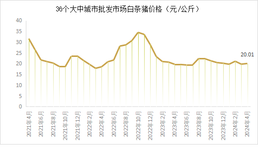 白条猪价格