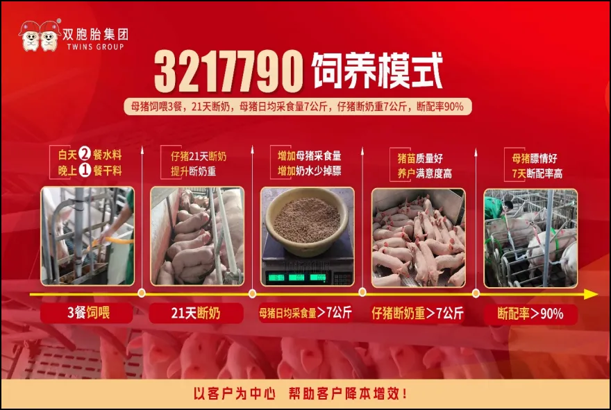 3217790 模式