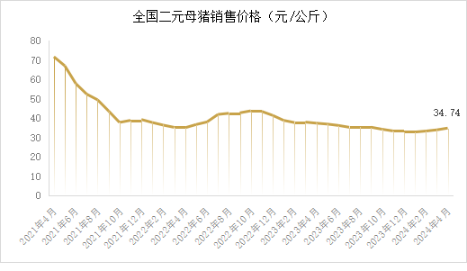 二元母猪价格