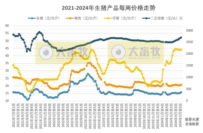 猪价持续上涨！将挤压二育市场后期的盈利空间？