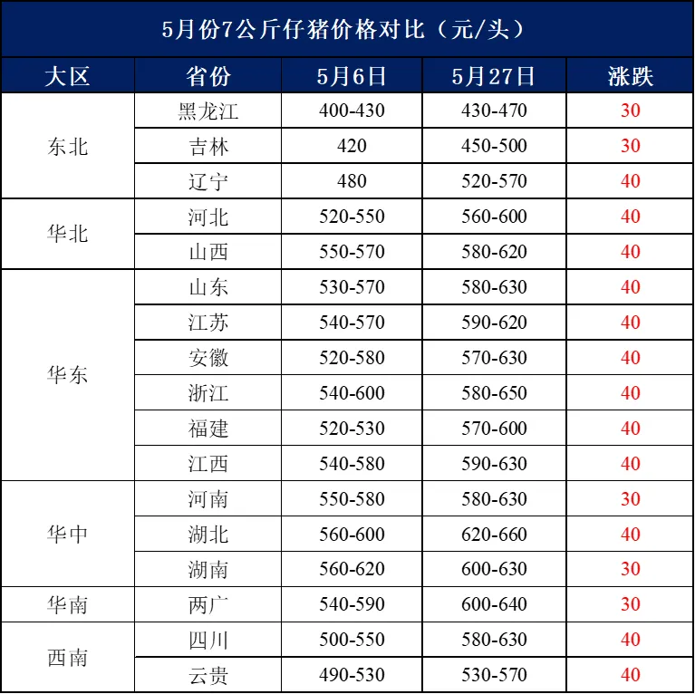 仔猪价格