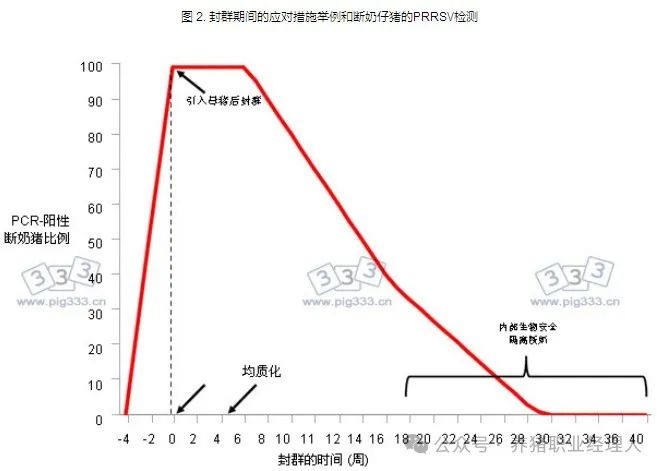 在封群期间对断奶仔猪进行蓝耳病病毒检测的程序示例