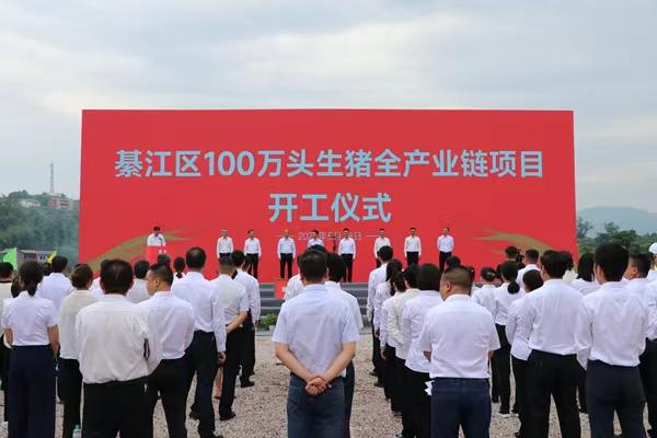 将提供2万个就业岗位！綦江区100万头生猪全产业链项目开工
