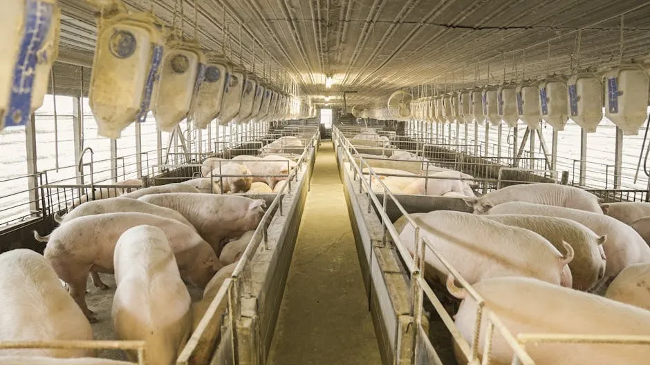巨星农牧：养殖成本继续下降，下半年公司种猪场产能将超20万头