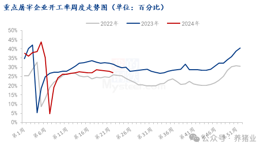 图片养殖端压栏，供应或后移！但后市情绪依然乐观，猪价如愿涨吗？