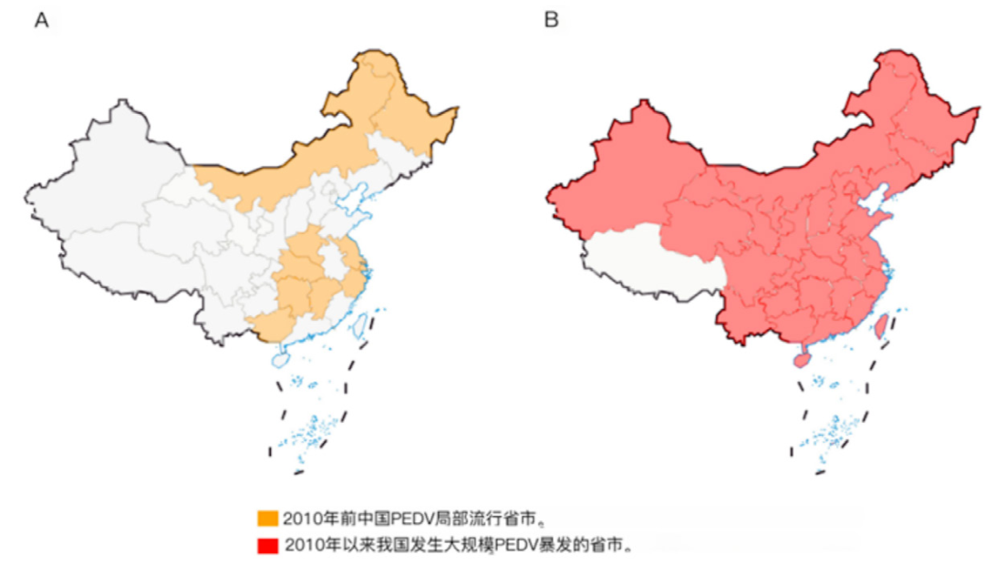 中国各省市2010年前后PEDV流行分布图